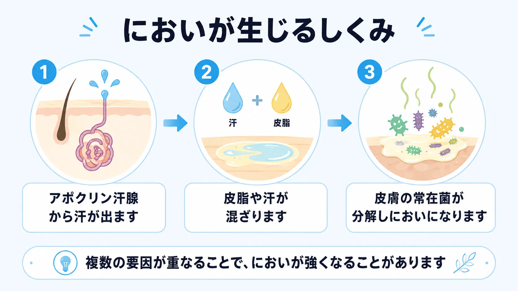 アポクリン汗腺から出た汗が皮脂と混ざり、皮膚の常在菌に分解されてにおいが生じるしくみを3ステップで示したインフォグラフィック