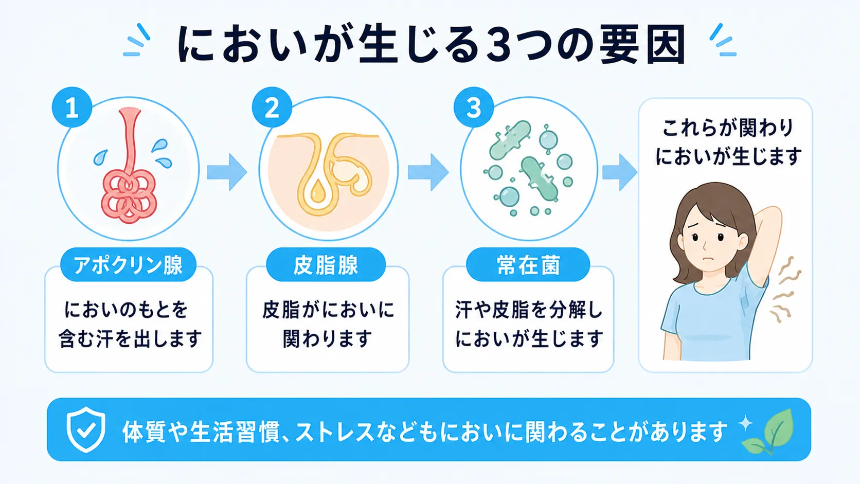 アポクリン腺の汗と皮脂腺の皮脂が皮膚の常在菌に分解されてワキガ特有のにおいが生じるという、3つの要因を示したインフォグラフィック