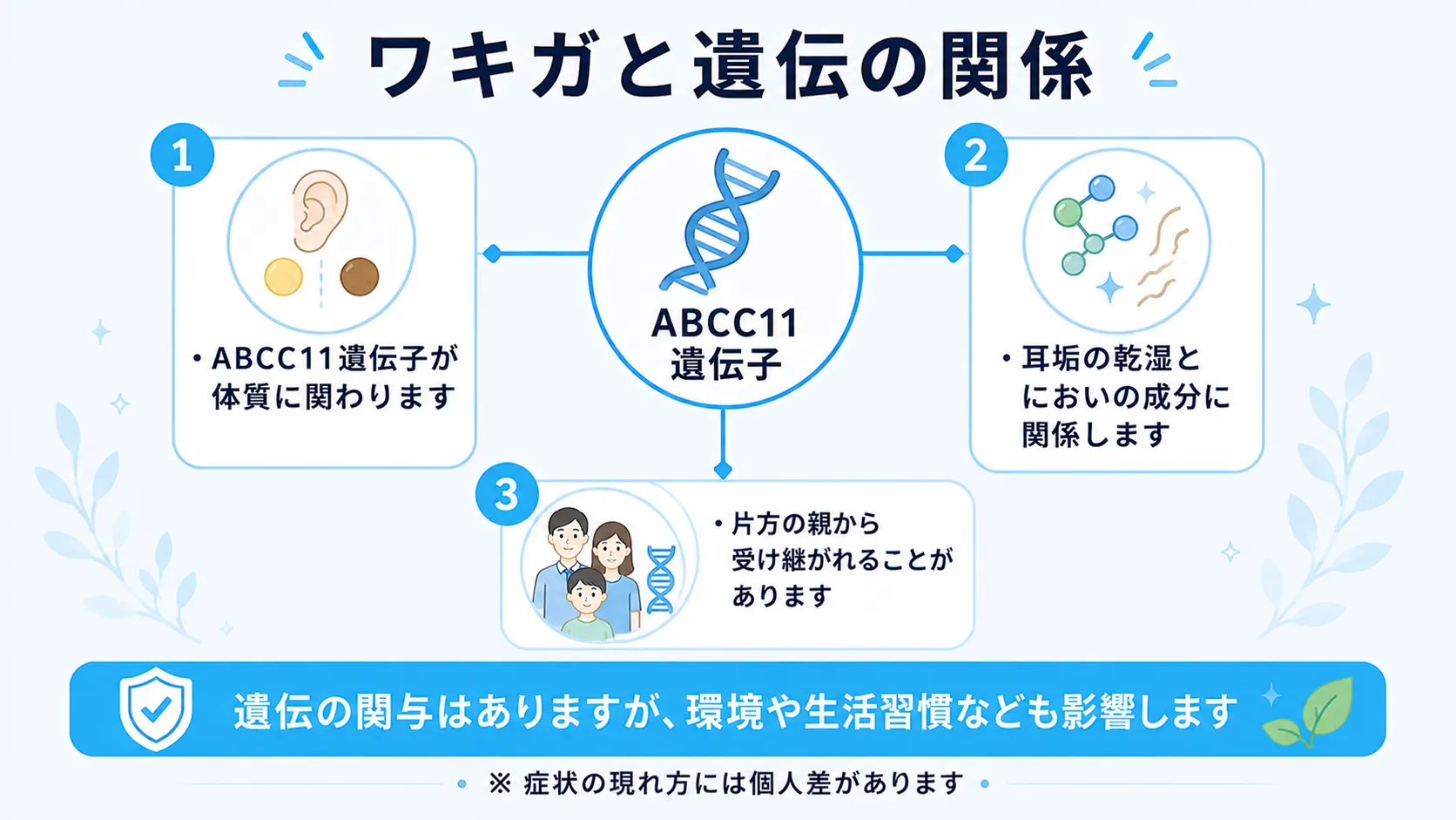 ABCC11遺伝子が耳垢のタイプやにおいの成分に関わり、片方の親から受け継がれることがあるなど、ワキガと遺伝の関係を整理したインフォグラフィック