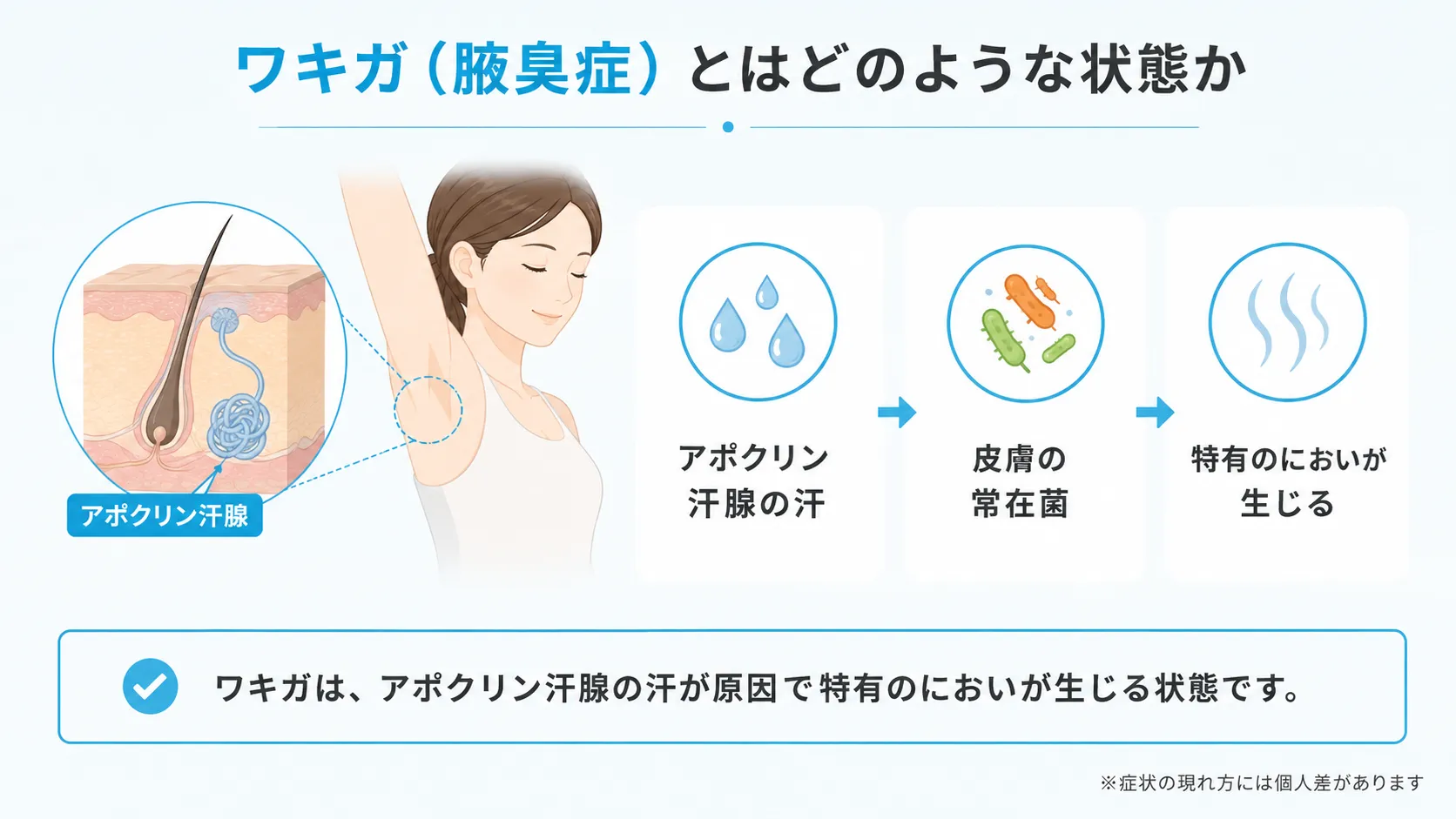 アポクリン汗腺の汗が皮膚の常在菌に分解され、特有のにおいが生じる仕組みを示した図です。