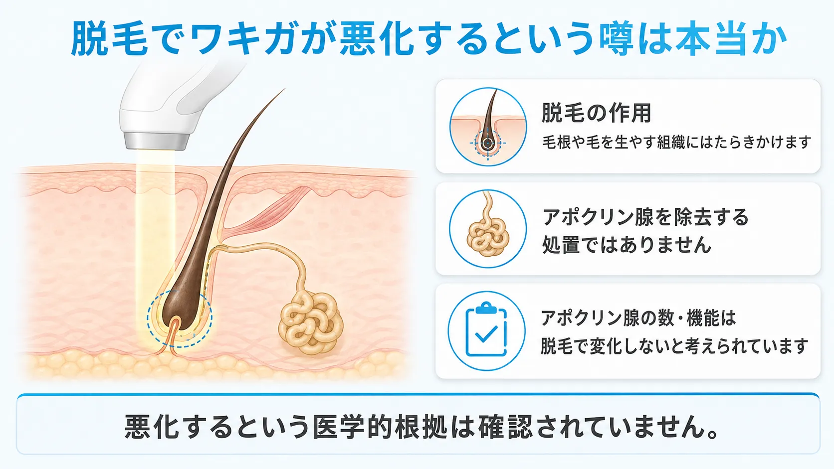 脱毛はアポクリン腺そのものに働きかけるものではないという関係を示した図です。