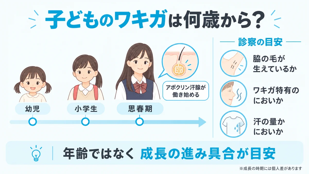 幼児・小学生・思春期のタイムラインでアポクリン汗腺が働き始める時期と、脇の毛・においの質・汗の量という診察の目安を示した図解