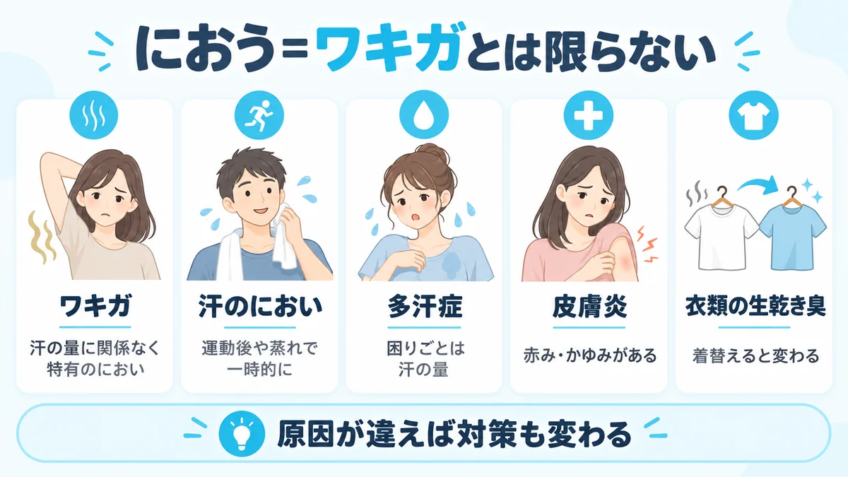 ワキガ・汗のにおい・多汗症・皮膚炎・衣類の生乾き臭の5つの違いと見分けの手がかりを比較した図解